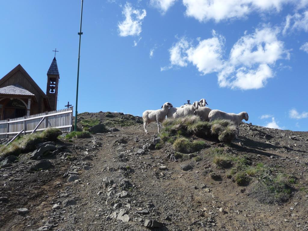 Hotel Garni Excelsior Livinallongo Del Col Di Lana Exteriör bild